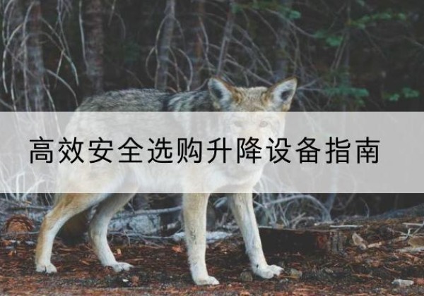 海林升降货梯厂家推荐-*安全选购升降设备指南