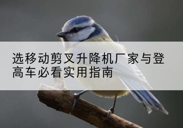 海林电动升降机厂家-选移动剪叉升降机厂家与登高车必看实用指南