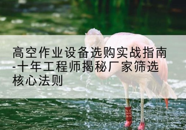 海林剪叉式升降机厂家-高空作业设备选购实战指南-十年工程师揭秘厂家筛选核心法则